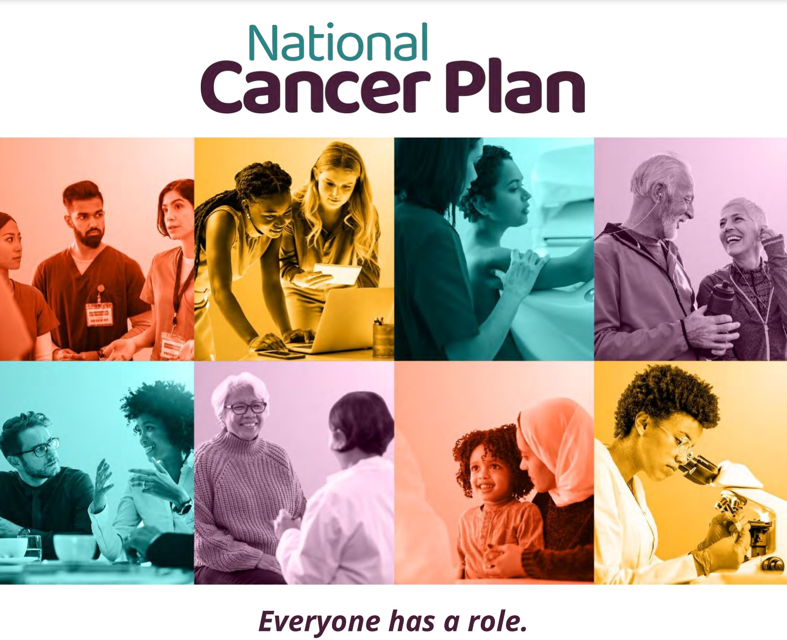 National Cancer Plan